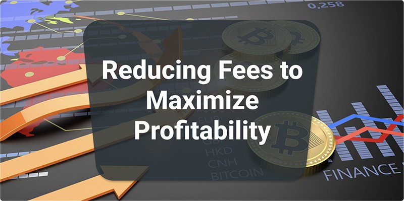 Reducing Fees to Maximize Profitability